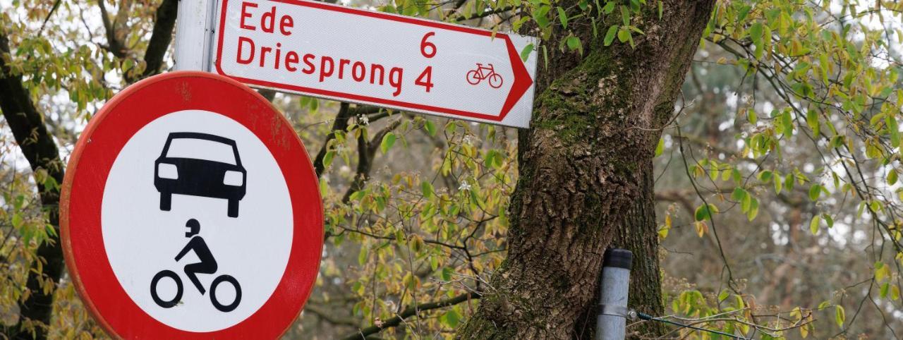 B&B Wicherumloo Wekerom Eksteriør billede